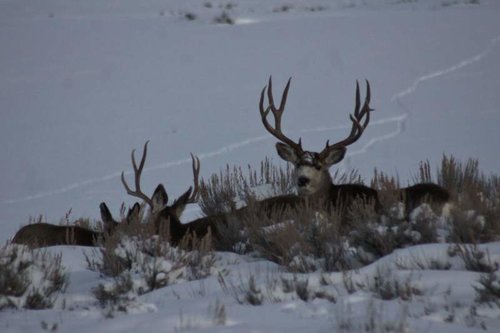 DSC05528.jpg DSC05528.jpg