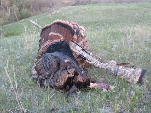 IMG_1297.jpg IMG_1297.jpg