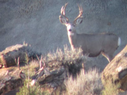 IMG_1419.jpg IMG_1419.jpg