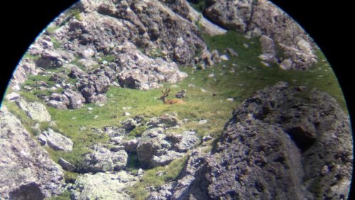 20170812_105057.jpg 20170812_105057.jpg
