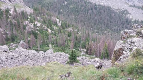 20170811_184546.jpg 20170811_184546.jpg