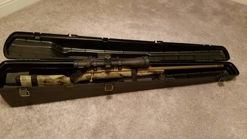 gun2.jpg gun2.jpg