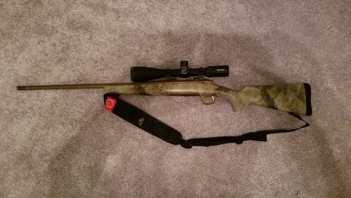 gun1.jpg gun1.jpg