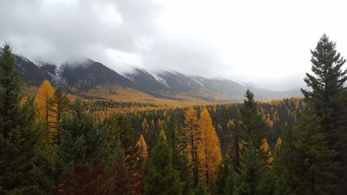 2017-10-22 10.34.49.jpg