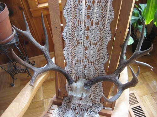 IMG_0293.jpg IMG_0293.jpg