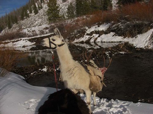 IMG_0211.jpg IMG_0211.jpg