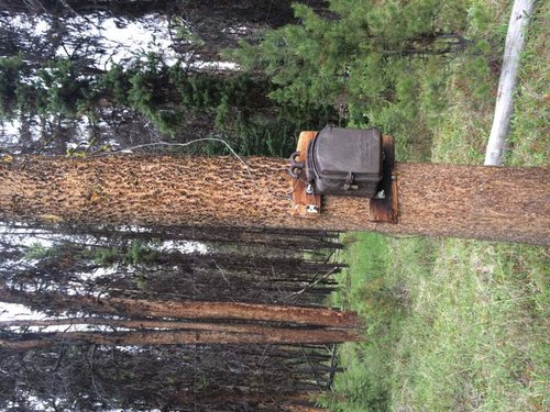 IMG_1046.jpg IMG_1046.jpg