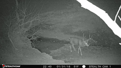 20180131 4x4 Buck5-1.jpg