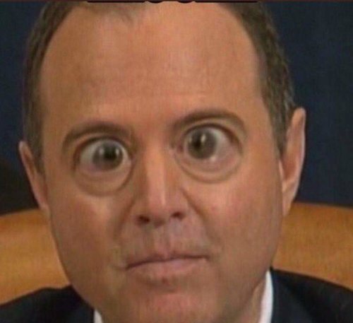 schiff-bug-eyes.jpg