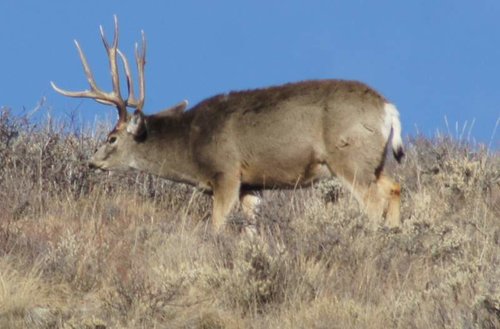 DSC06939.jpg DSC06939.jpg