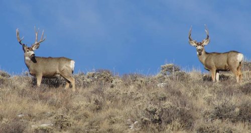 DSC06968.jpg DSC06968.jpg