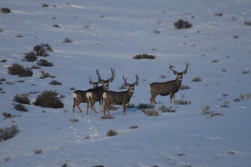 DSC06563.jpg DSC06563.jpg