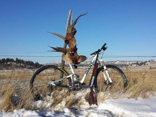 FB_IMG_1518250462138.jpg FB_IMG_1518250462138.jpg