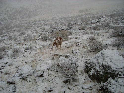 1-002-Hunters-26.JPG 1-002-Hunters-26.JPG