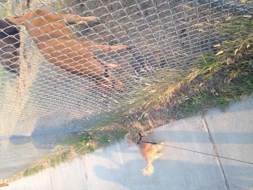 IMG_0461.jpg IMG_0461.jpg