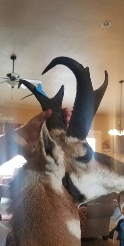 20180211_192918.jpg 20180211_192918.jpg