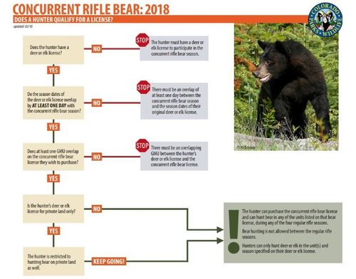 bear1.JPG bear1.JPG