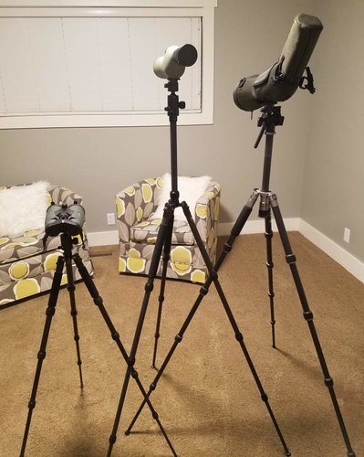 Tripod3_.jpg Tripod3_.jpg