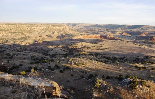 2017 Greg CO Mulie Scenery 1.jpg 2017 Greg CO Mulie Scenery 1.jpg