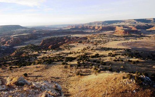 2017 Greg CO Mulie Scenery 2.jpg 2017 Greg CO Mulie Scenery 2.jpg