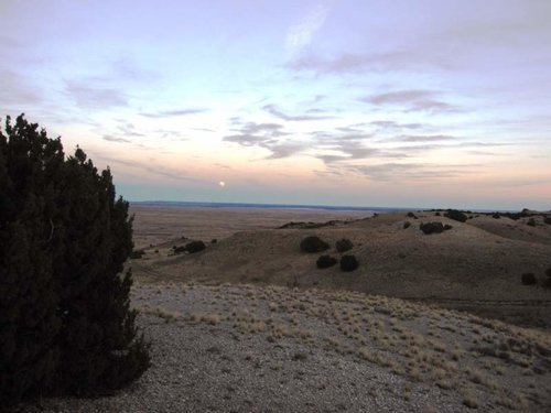 2017 Greg CO Mulie Scenery 4.jpg 2017 Greg CO Mulie Scenery 4.jpg