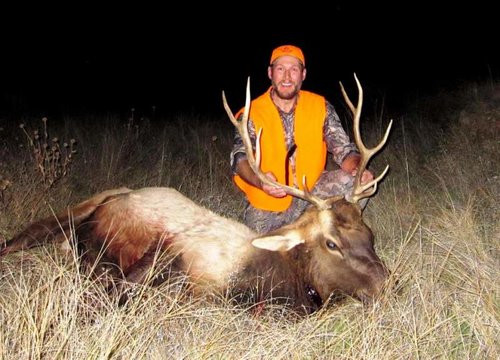 Greg 2017 CO Bull.jpg Greg 2017 CO Bull.jpg