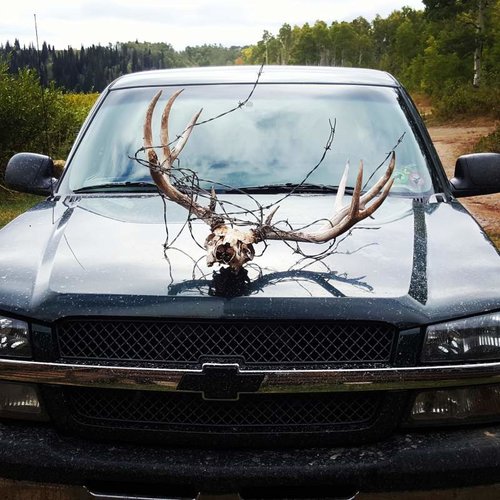 truck buck.jpg truck buck.jpg