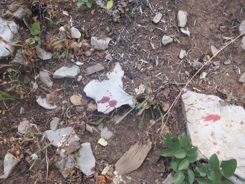 2014 hunt (10).jpg 2014 hunt (10).jpg