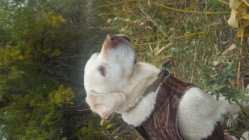 20170930_095422.jpg 20170930_095422.jpg