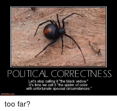 political-correctness-lets-stop-calling-it-the-black-wido-its-14700902.png