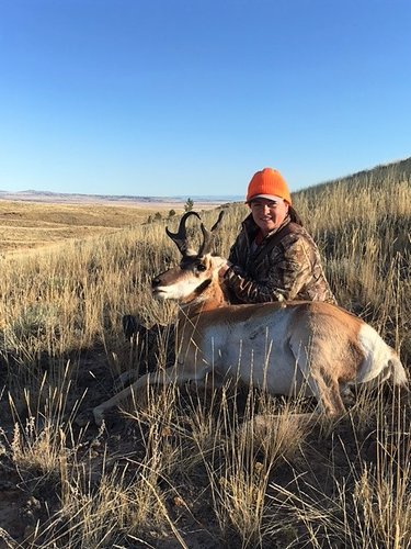 Shelly Pronghorn.jpg Shelly Pronghorn.jpg