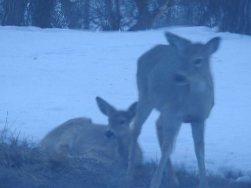 DSCN1892.jpg