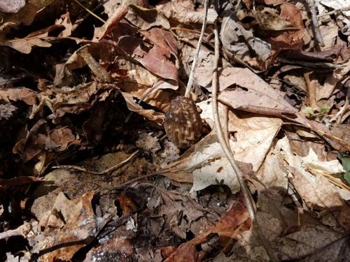 20180408_131517.jpg