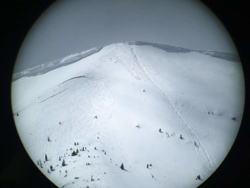 IMG_1478.jpg IMG_1478.jpg