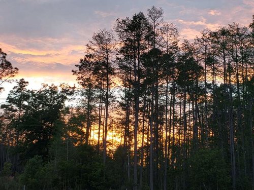 20180404_195031.jpg