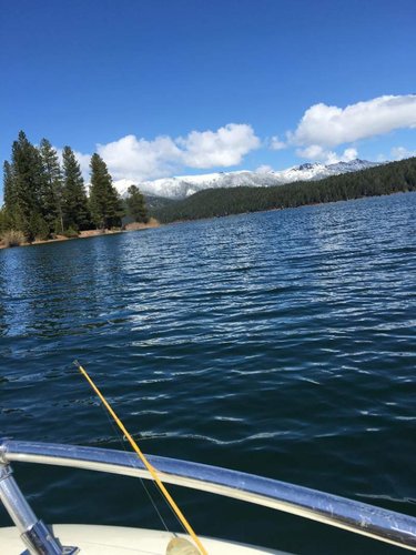 almanor 4-17-18.jpg almanor 4-17-18.jpg