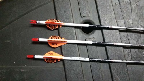 20180420_072715.jpg 20180420_072715.jpg