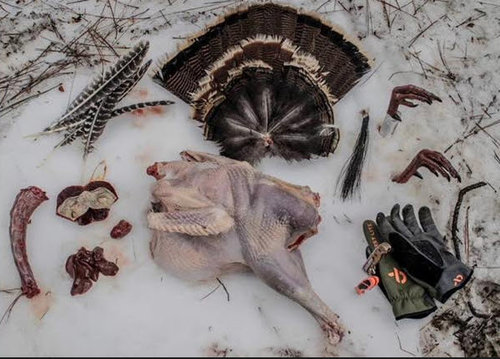 turkey.jpg turkey.jpg