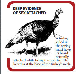 turkey2.jpg turkey2.jpg