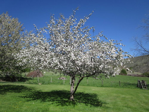 1-IMG_2990.JPG