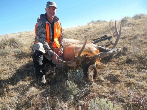 2014elk004.jpg