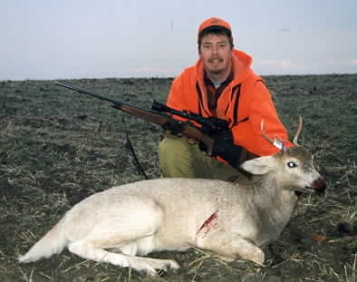 whiteyfield3.jpg