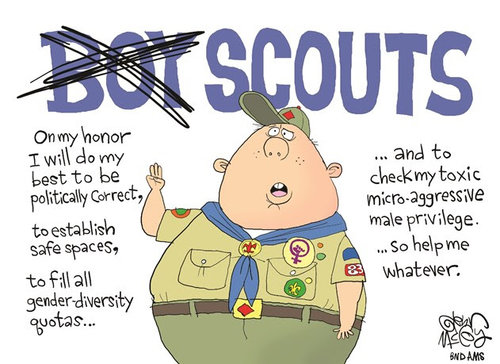 Scouts.jpg