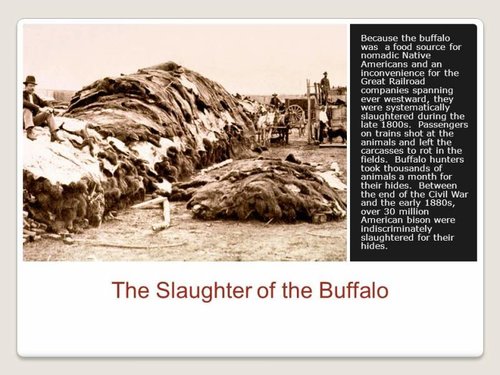 The+Slaughter+of+the+Buffalo.jpg The+Slaughter+of+the+Buffalo.jpg