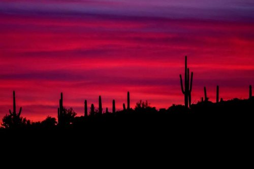 Hunt - Arizona desert sheep country at sundown.jpg