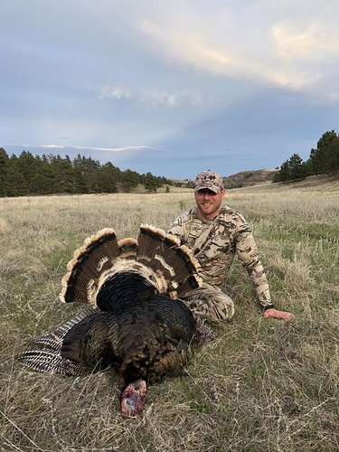 Merriam's 2018.jpg Merriam's 2018.jpg