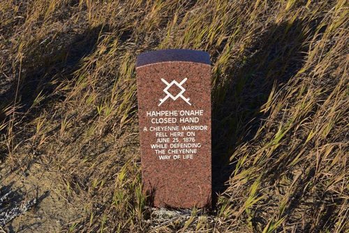 DSC_0645.jpg DSC_0645.jpg