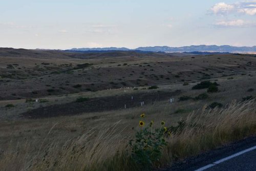DSC_0672.jpg DSC_0672.jpg
