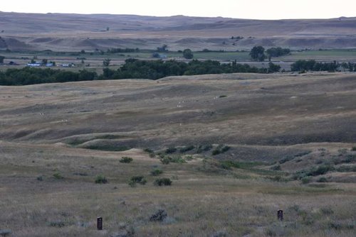 DSC_0677.jpg DSC_0677.jpg