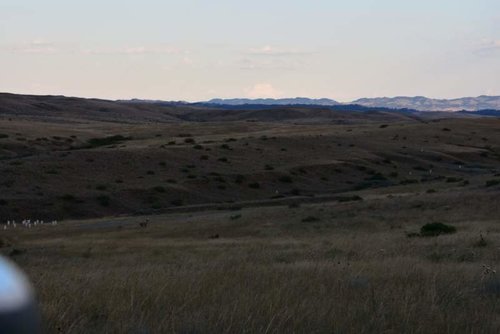 DSC_0680.jpg DSC_0680.jpg
